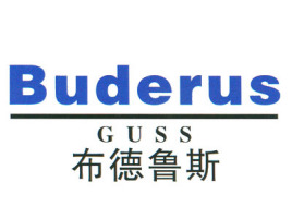 布德鲁斯 BUDERUS-G124-安装和维护说明